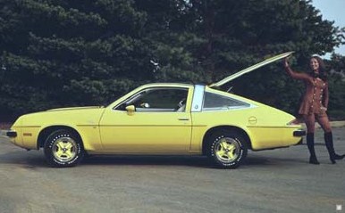 Buick Skyhawk 1974 - 1980 Hatchback 3 door #7