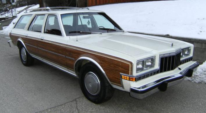 Dodge Diplomat I 1977 - 1989 Sedan #4