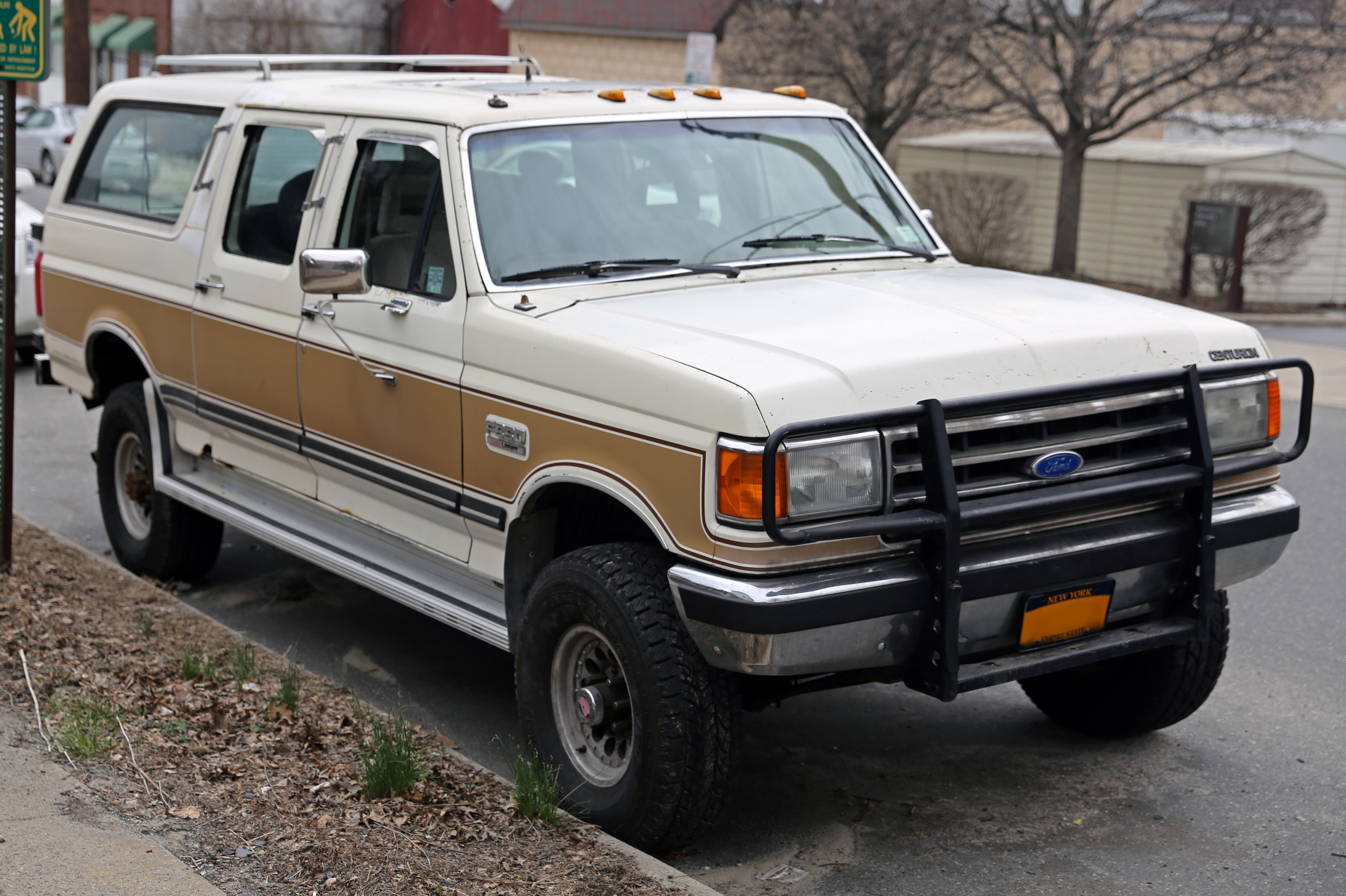 Ford Bronco IV 1987 - 1991 SUV 3 door #4