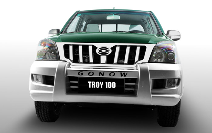 Gonow Troy 2008 - now Pickup #1