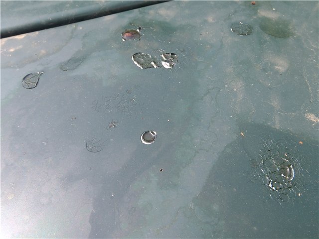 HOW TO REMOVE TREE SAP FROM CAR OUTSTANDING CARS