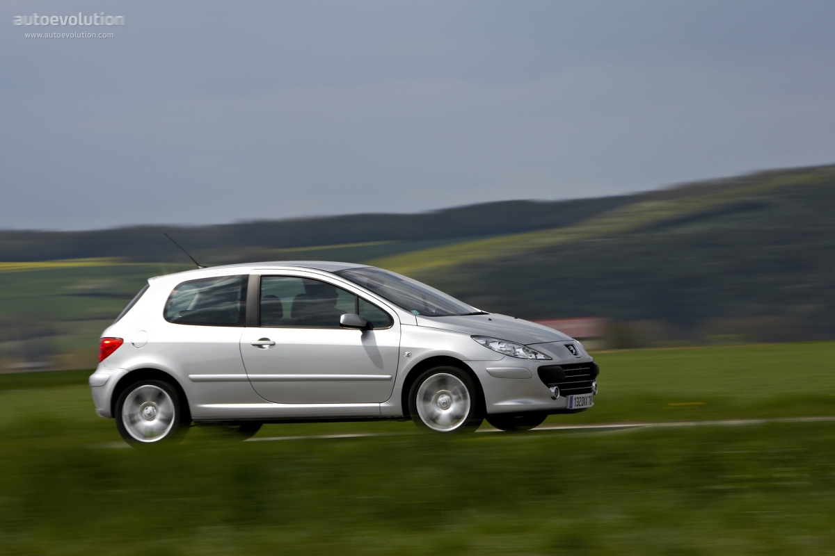 Peugeot 307 I Restyling 2005 - 2008 Hatchback 3 door :: OUTSTANDING CARS
