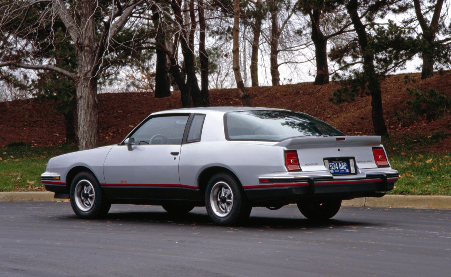 Pontiac Grand Prix IV 1978 - 1987 Coupe-Hardtop #5