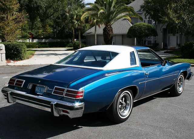 Pontiac LeMans IV 1973 - 1977 Coupe #8