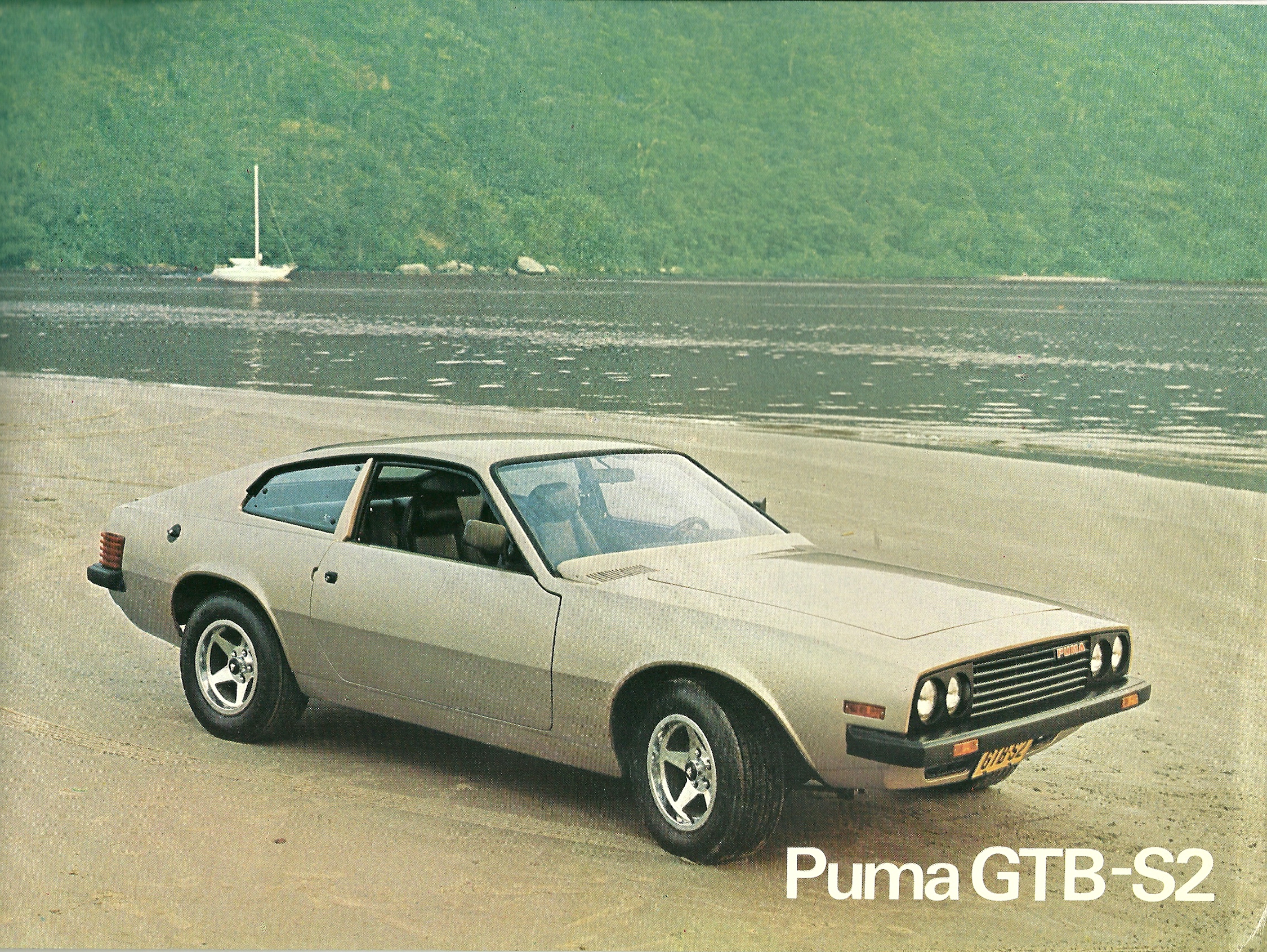 Puma GTB 1973 - 1984 Coupe #6