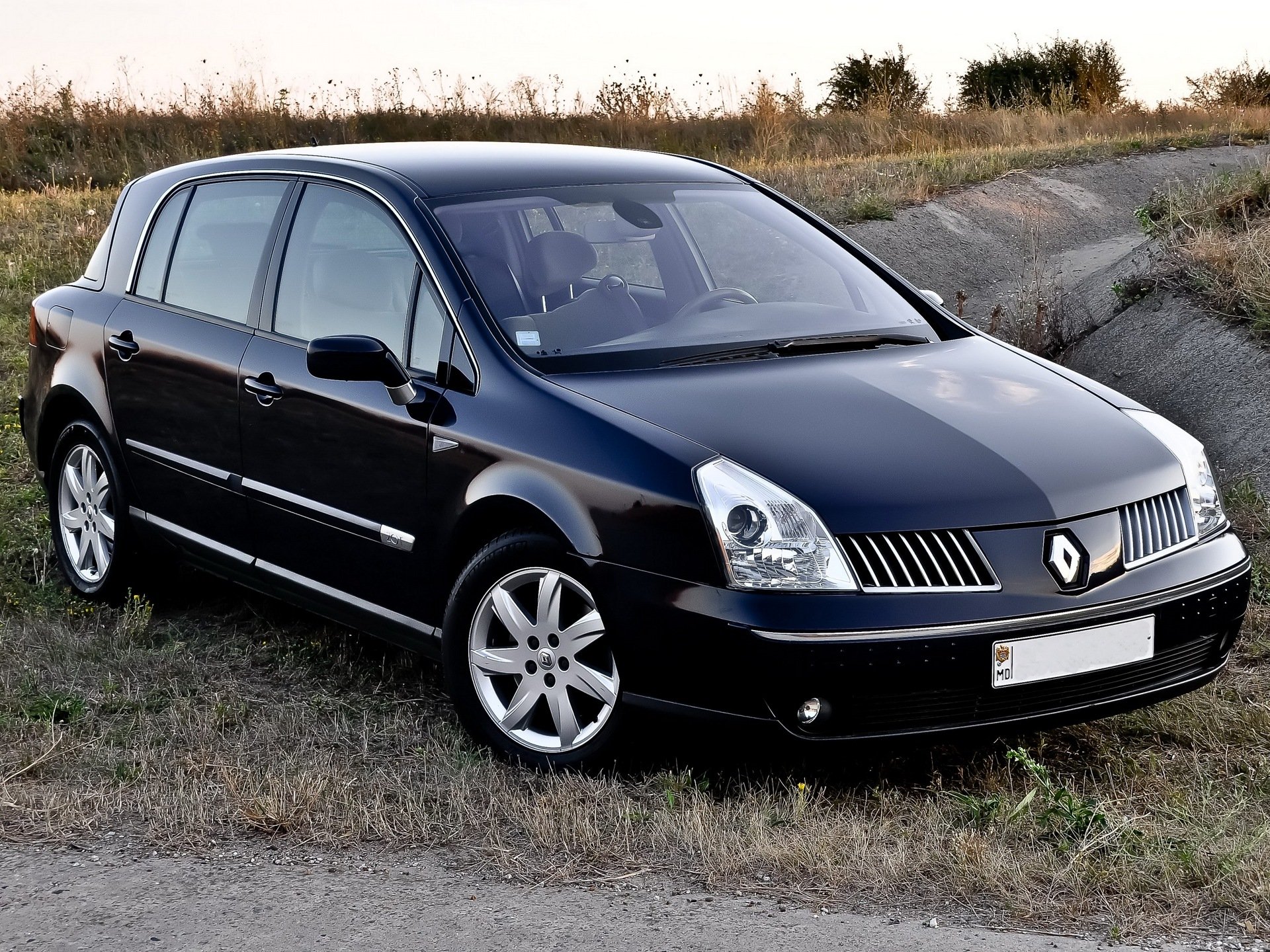 Renault Vel Satis I 2002 - 2005 Hatchback 5 door #4