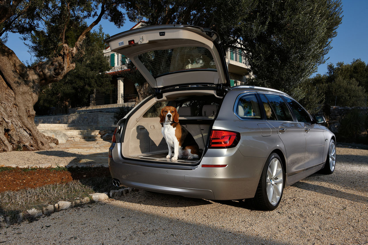 BMW 5 Series VI (F10/F11/F07) 2010 - 2013 Station wagon 5 door #7