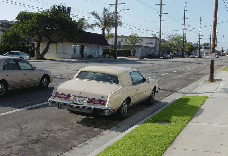 Buick Riviera VI 1979 - 1985 Coupe #3