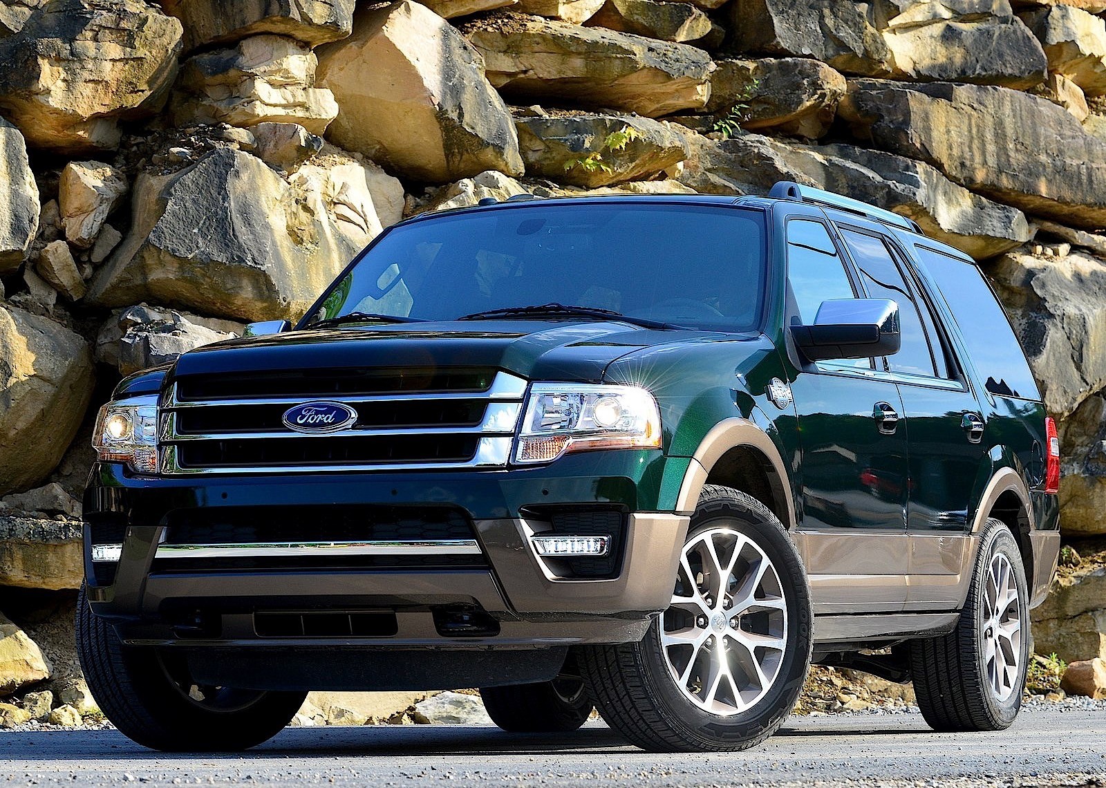 Ford Expedition III Restyling 2014 - now SUV 5 door #3