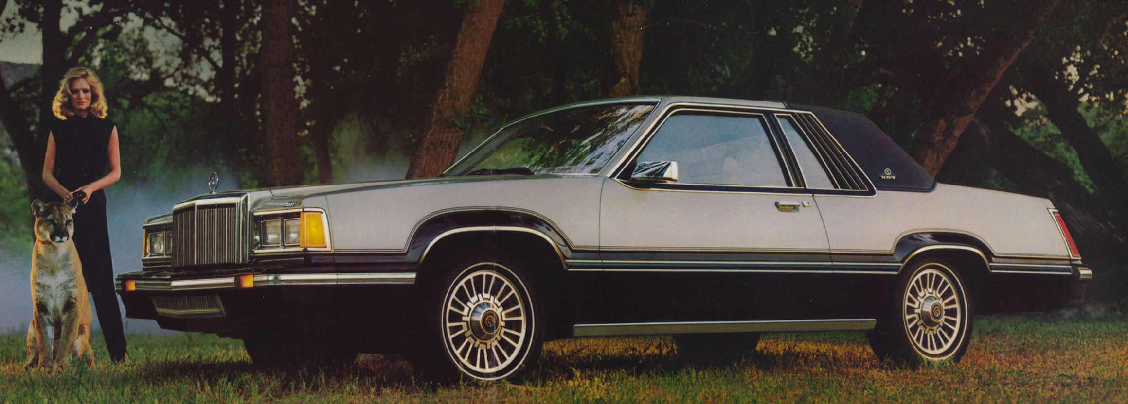 Mercury Cougar V 1980 - 1982 Coupe #2