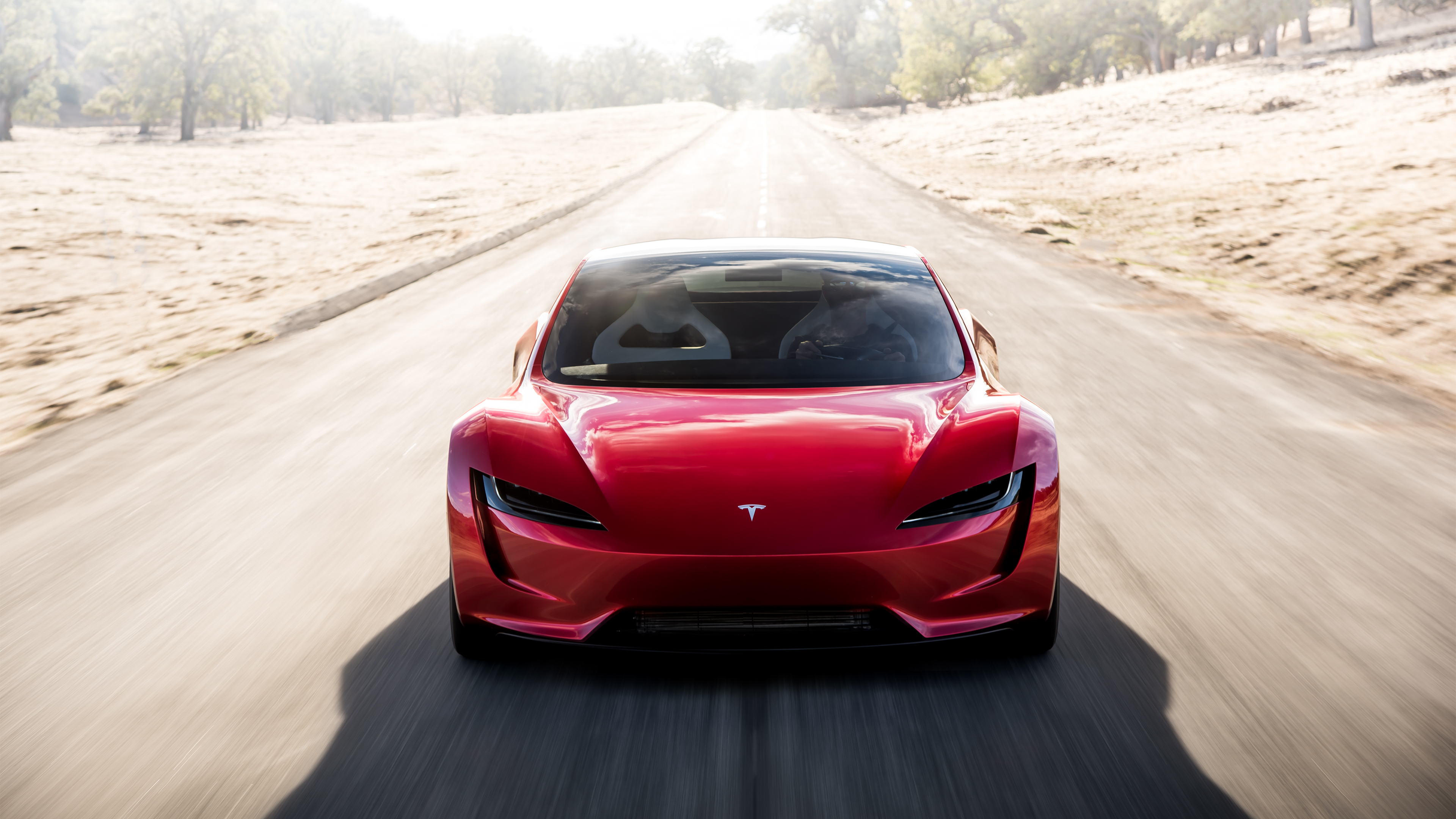 Tesla Roadster Concept 2017 - now Targa #5